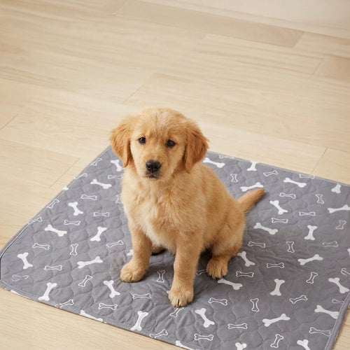 PupPad - The Last Pee Pad You'll Get