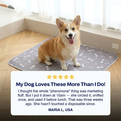 PupPad - The Last Pee Pad You'll Get