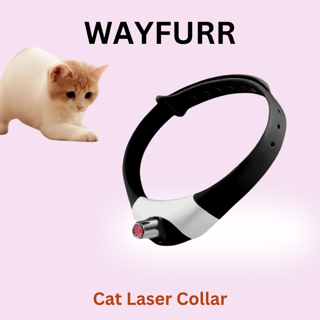 Cat Laser Collar