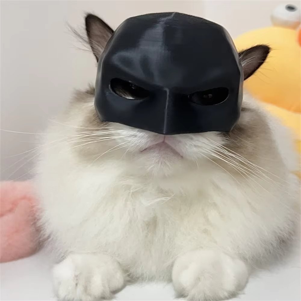 Cat Bat Mask