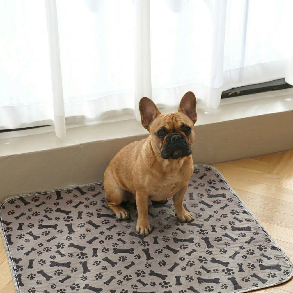 PupPad - The Last Pee Pad You'll Get
