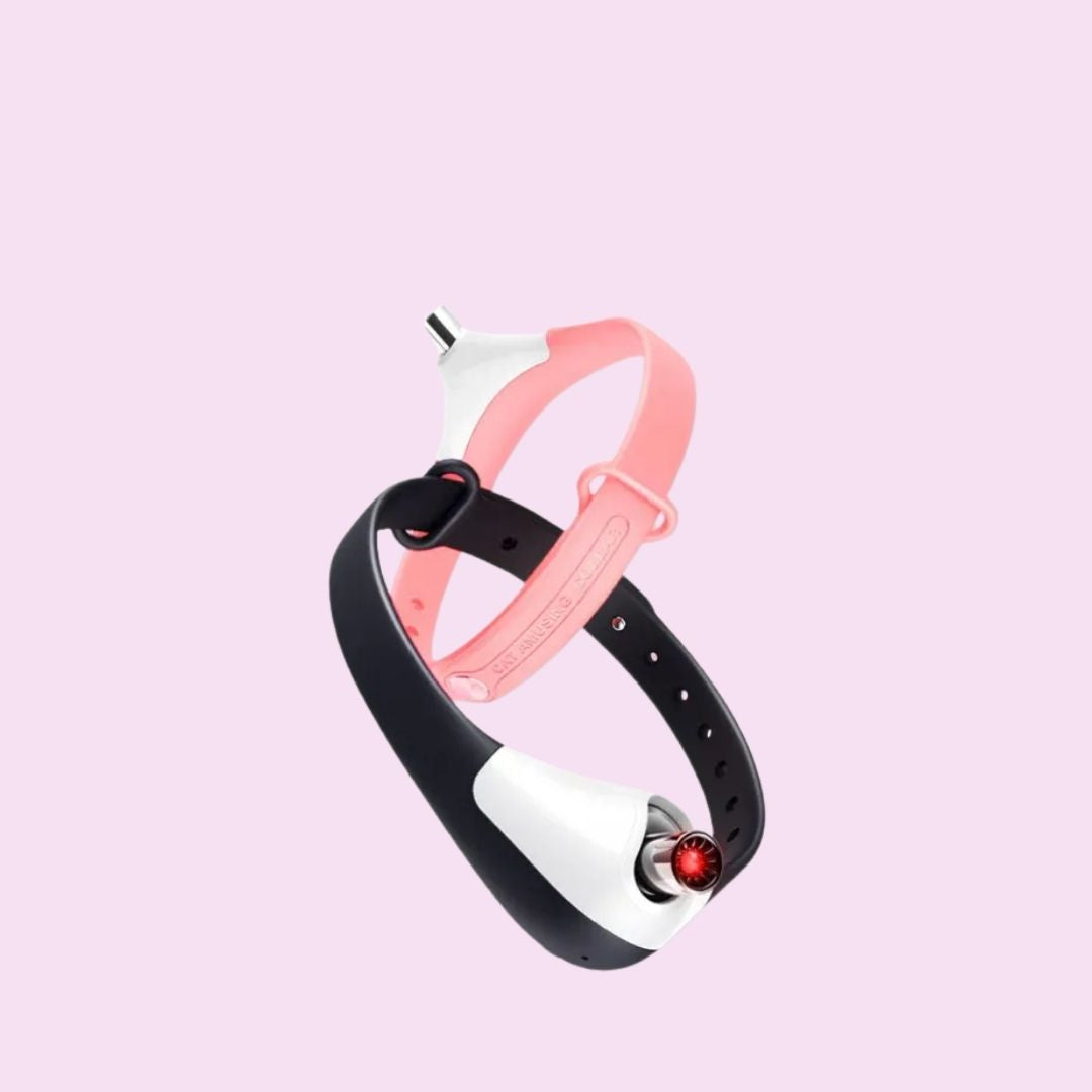 Cat Laser Collar