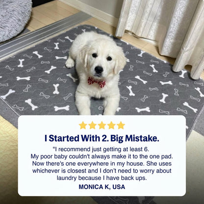 PupPad - The Last Pee Pad You'll Get