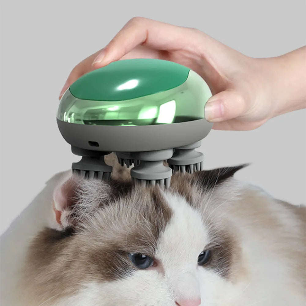 Cat Massager