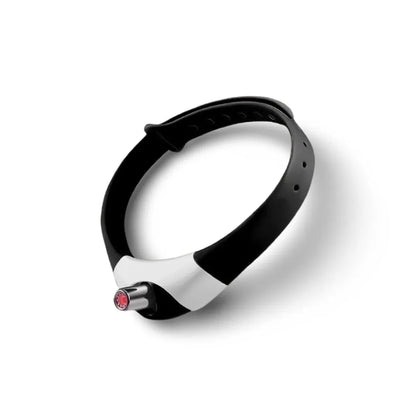 Cat Laser Collar