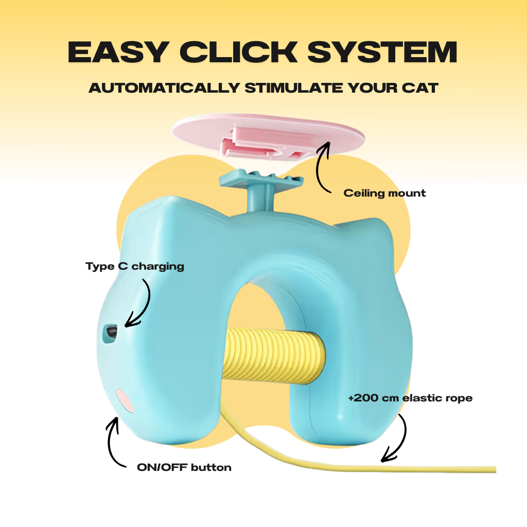 Yo-yo Cat Toy