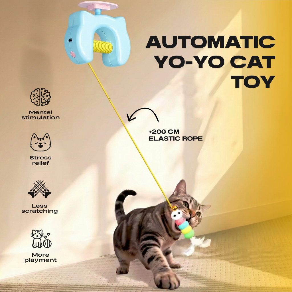 Yo-yo Cat Toy
