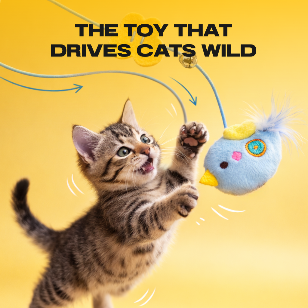 Yo-yo Cat Toy