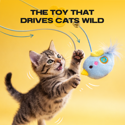 Yo-yo Cat Toy